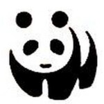 南京中电熊猫液晶材料科技有限公司logo