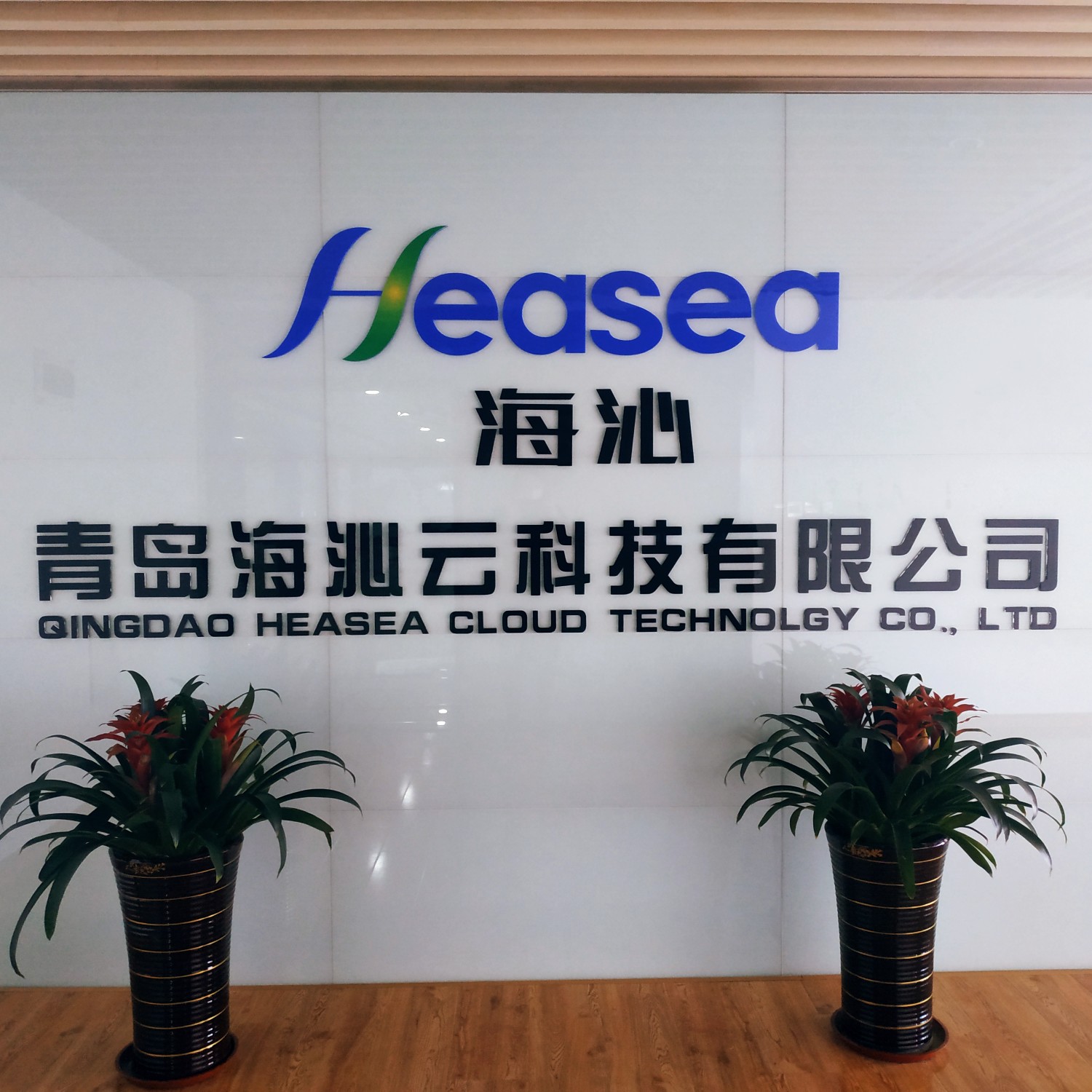 青岛海沁云科技有限公司招聘logo