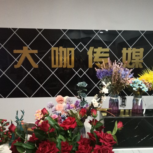 新疆大咖文化传媒传媒有限公司招聘logo