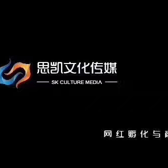 太原思凯文化传媒招聘logo