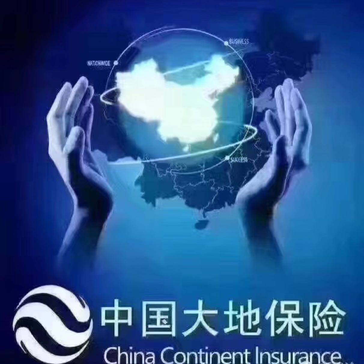 中国大地财产保险股份有限公司苍南支公司logo