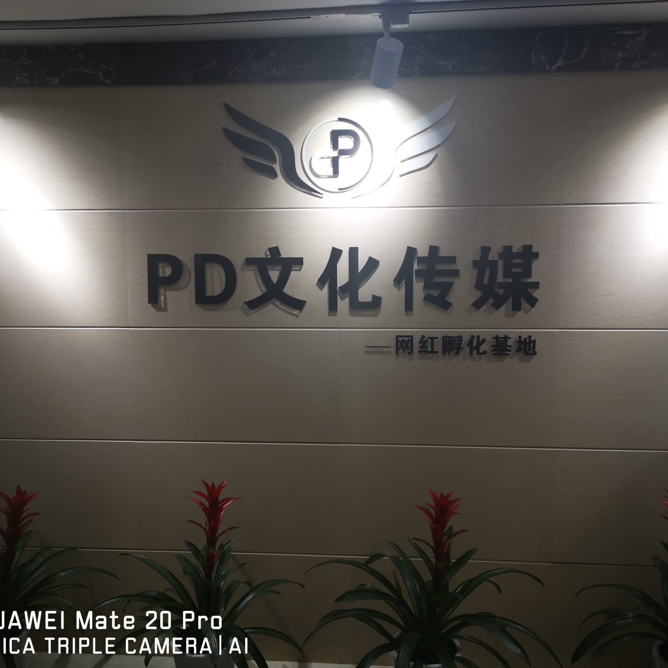 湖南貔締文化傳媒有限招聘logo