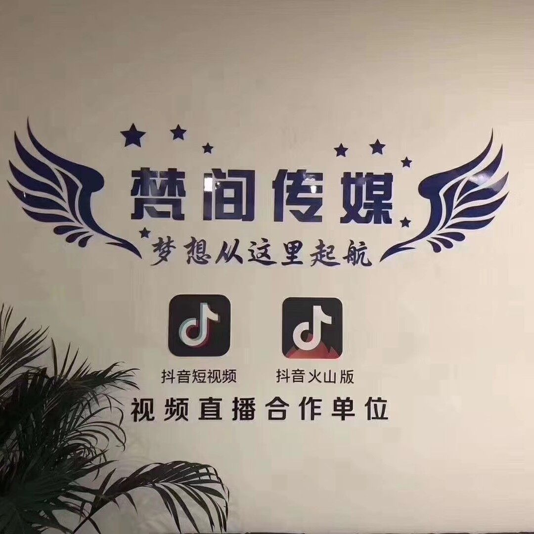 贵州梵间影视文化传媒招聘logo