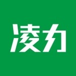 东莞市凌力电池有限公司logo