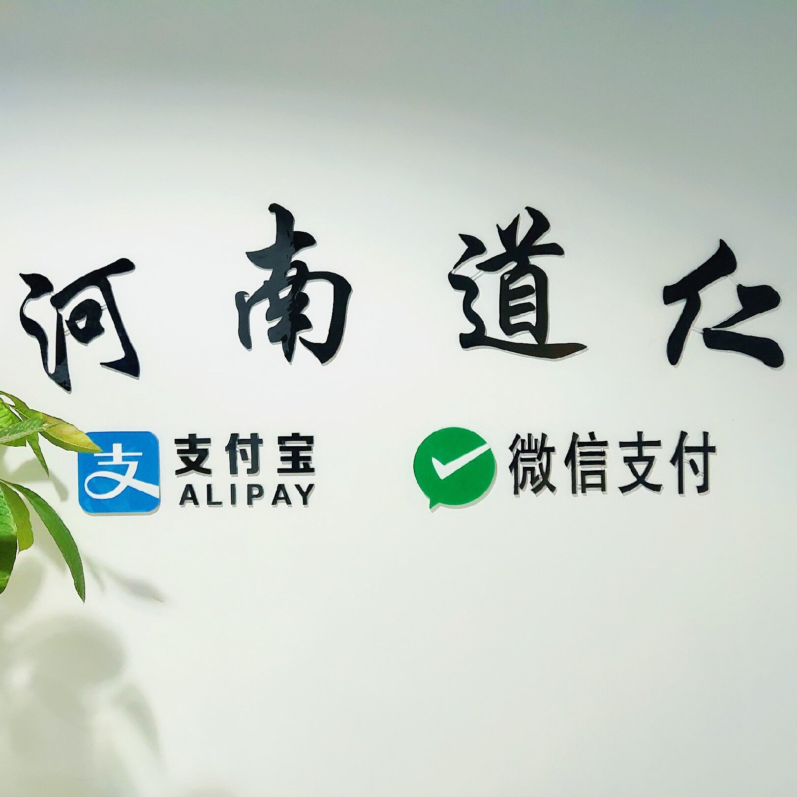 河南道仁电子科技有限公司logo