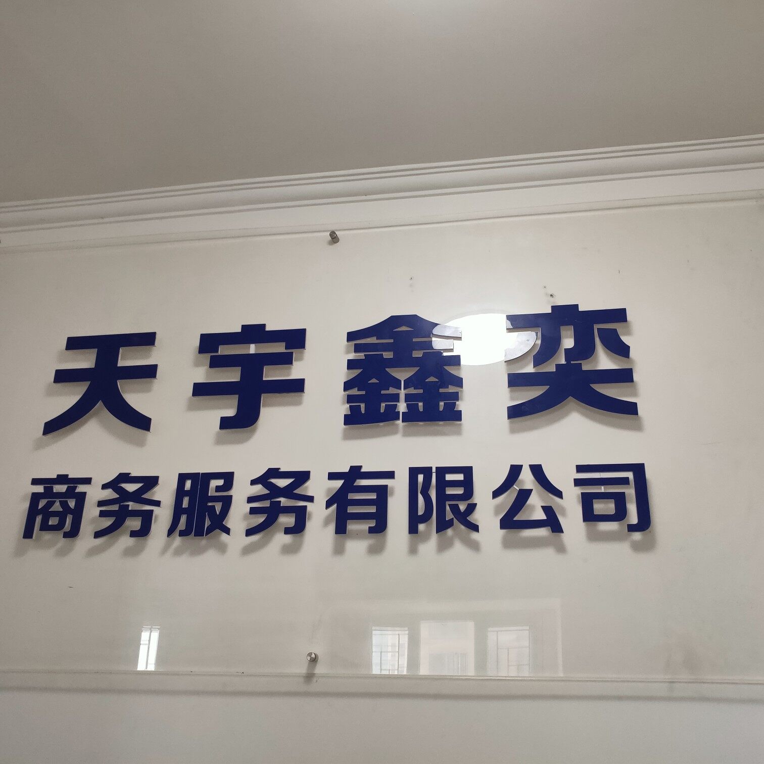 湖北天宇鑫奕商务服务有限公司logo