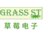 东莞市草莓电子有限公司