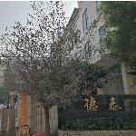 德泰家居用品logo