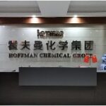 霍夫曼（广东）投资有限公司logo