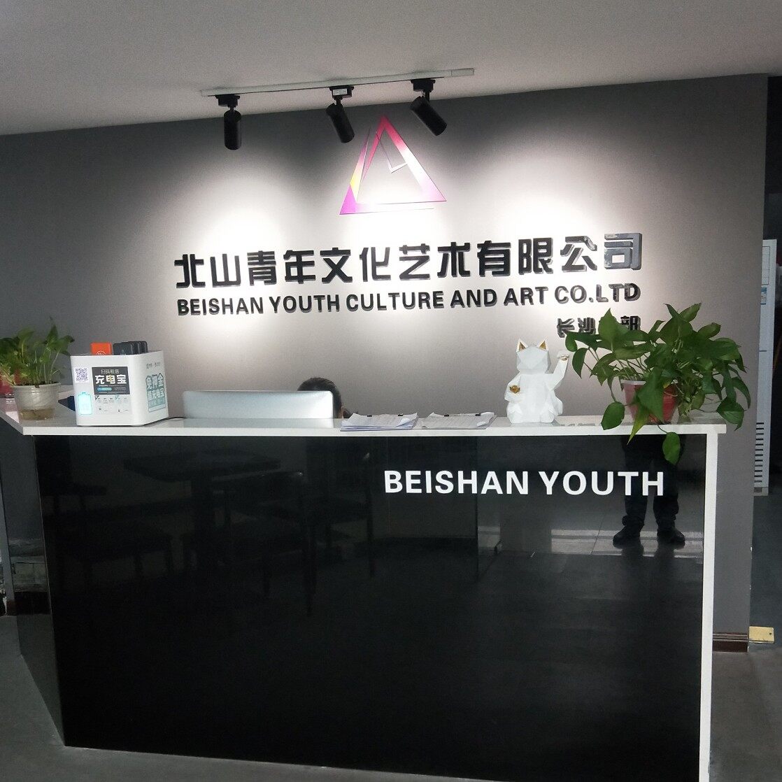 长沙北山青年文化艺术有限公司logo