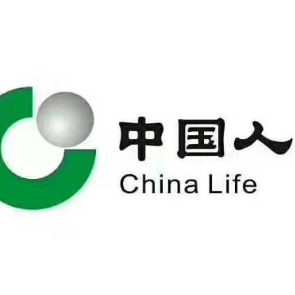 中国人寿保险蓟州logo