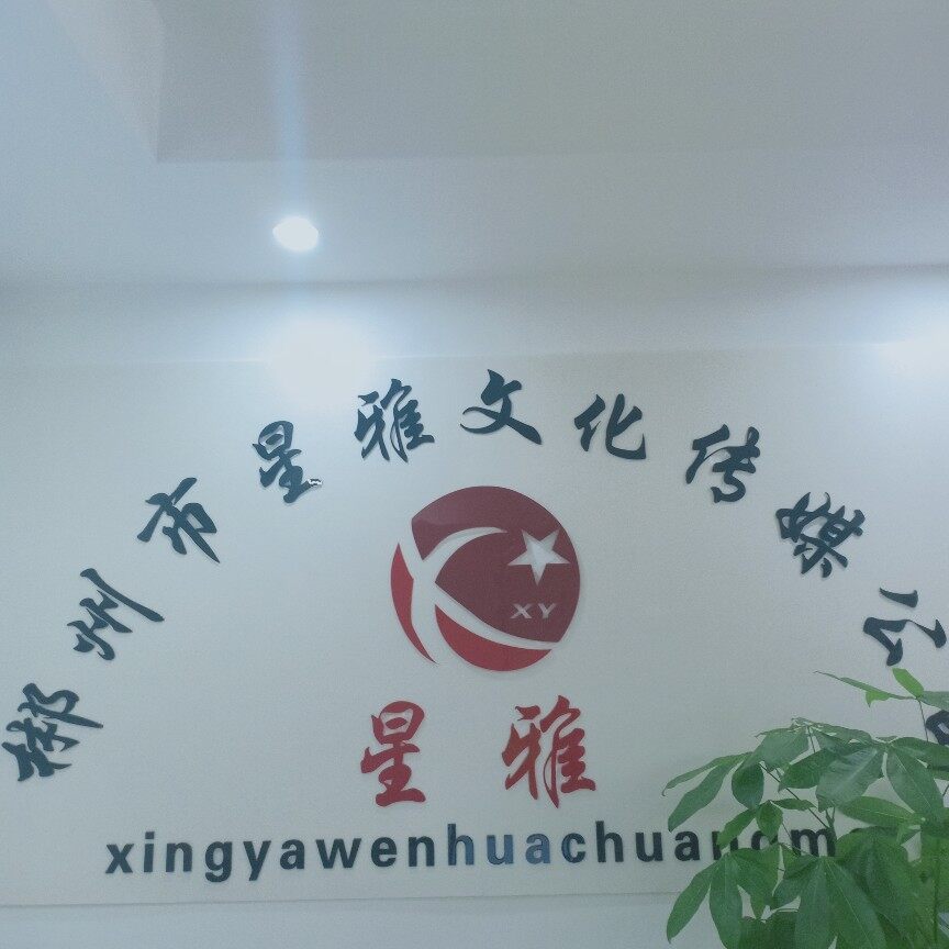 郴州星雅文化传媒有限公司logo
