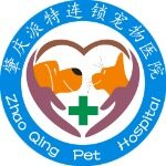 派特宠物诊所招聘logo