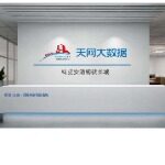 湖南天网大数据管理有限公司logo