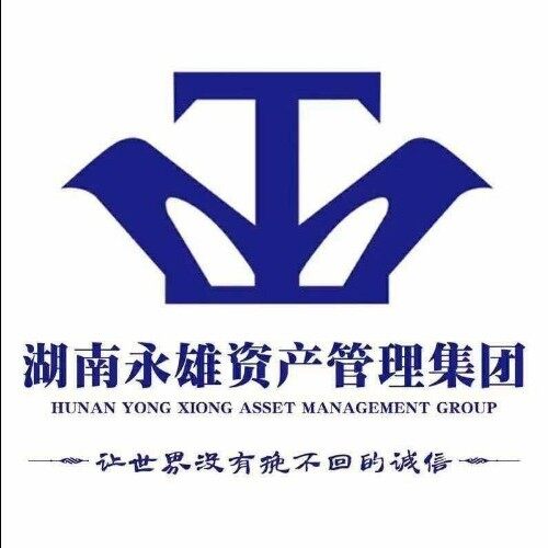 湖南永雄资产管理集团有限公司广西分公司logo