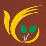 东莞市美瑞实业投资有限公司