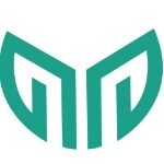 山东国音通讯有限责任公司logo