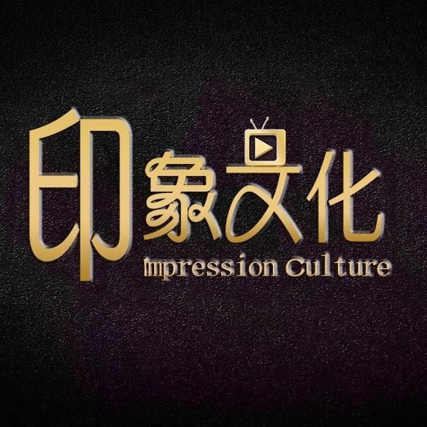 泰州羽象文化传媒有限公司logo