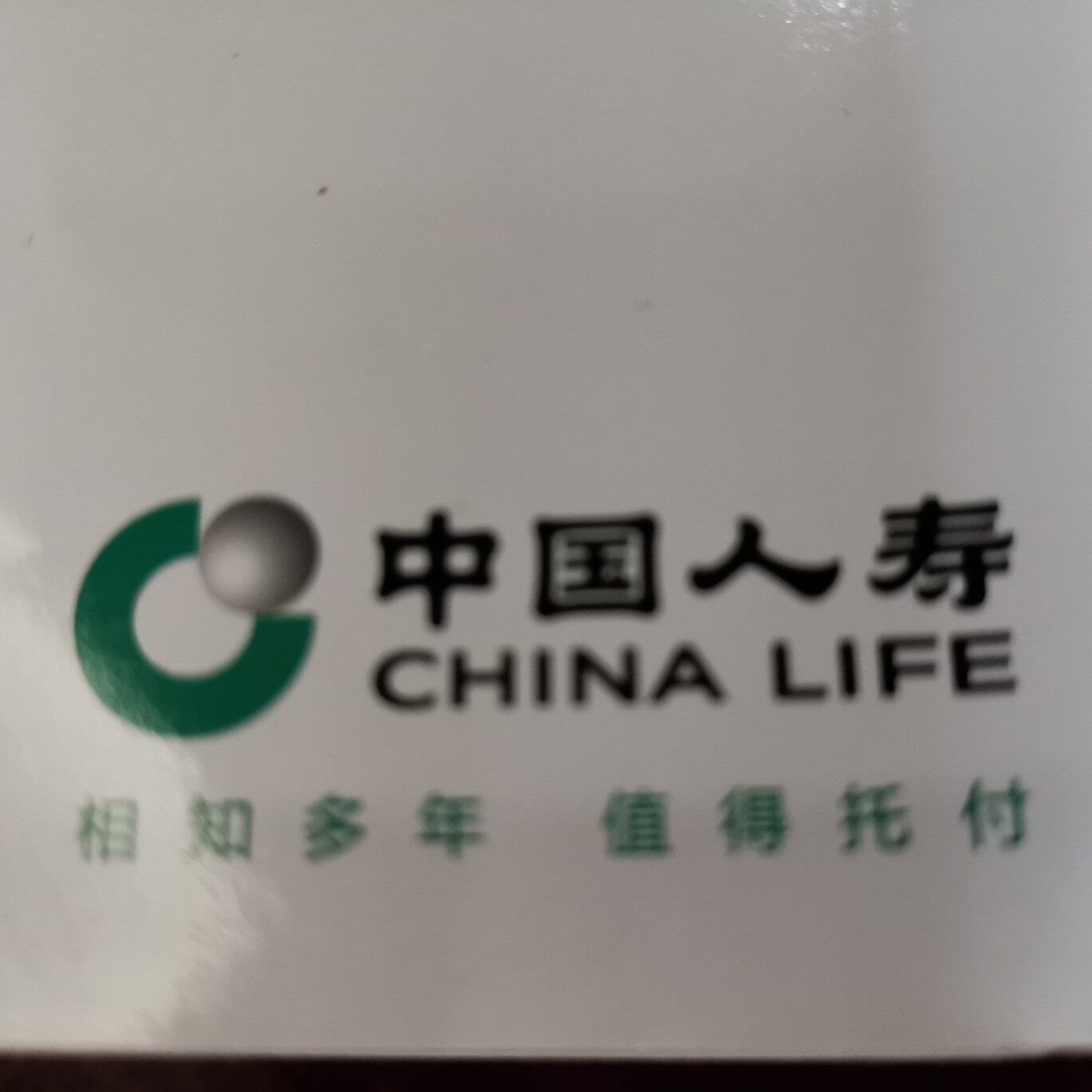中国人寿电子商务招聘logo