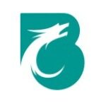 广东博龙能源科技有限公司logo