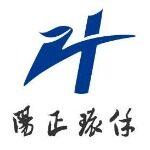 重庆阳正环保科技股份有限公司logo