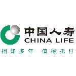 中国人寿保险股份有限公司东莞分公司松山湖营销服务部logo