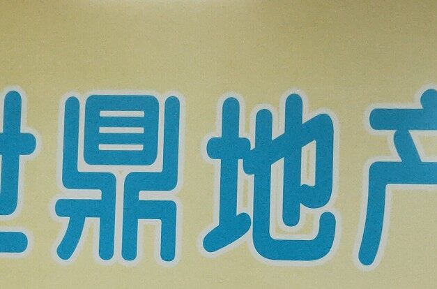 世鼎房地产投资顾问招聘logo