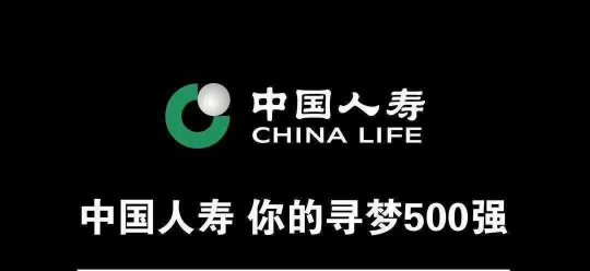 中国人寿保险股份有限公司玉溪市红塔支公司招聘logo
