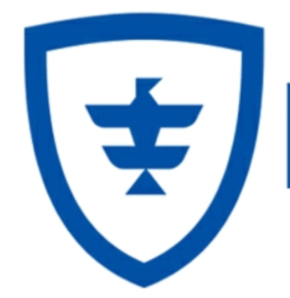陕西国鹏保安服务有限公司logo