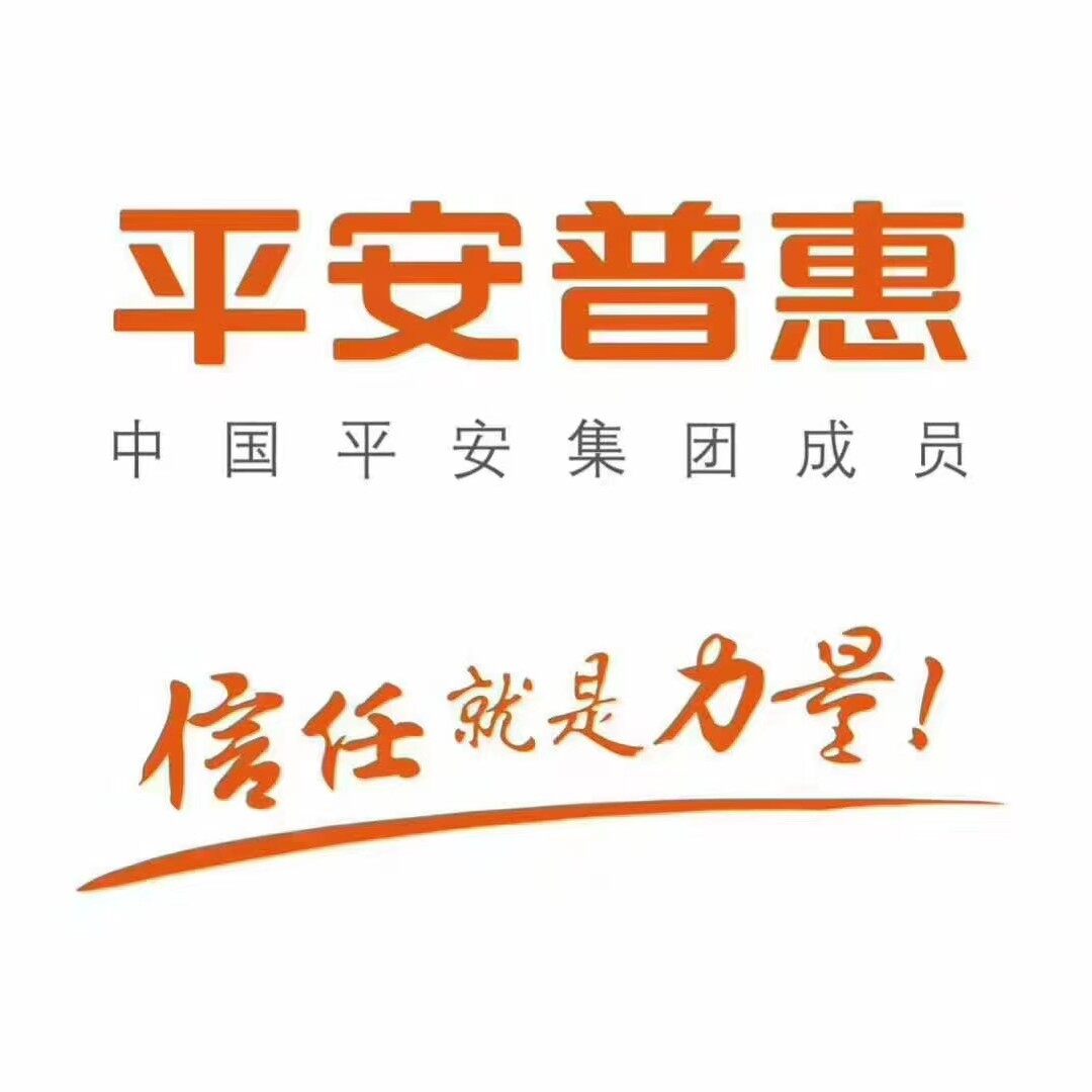 平安普惠信息服务有限公司河源分公司logo