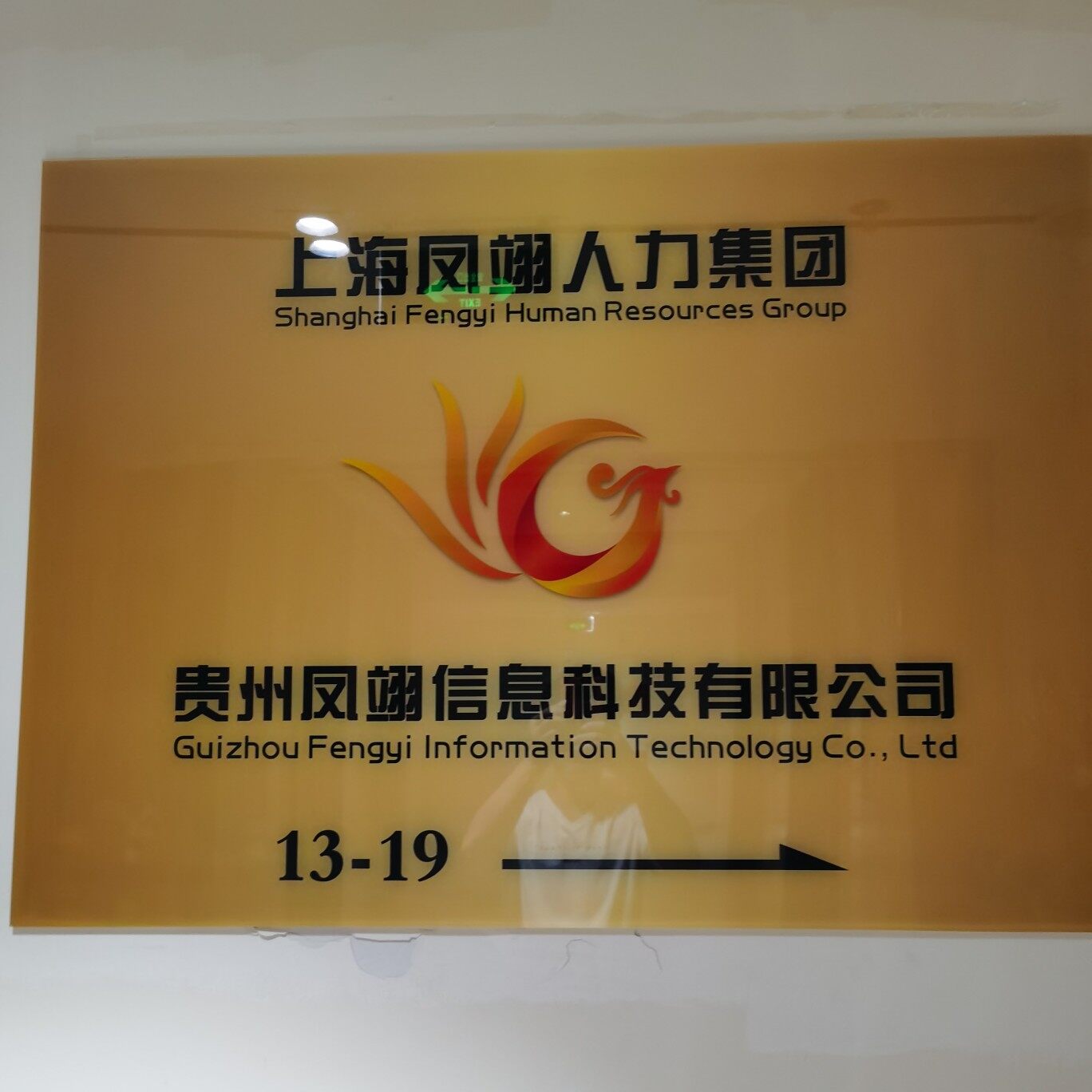 贵州凤翊信息科技有限公司logo