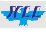 东莞市喜利来精密五金制品有限公司LOGO