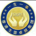 鑫普信息科技logo