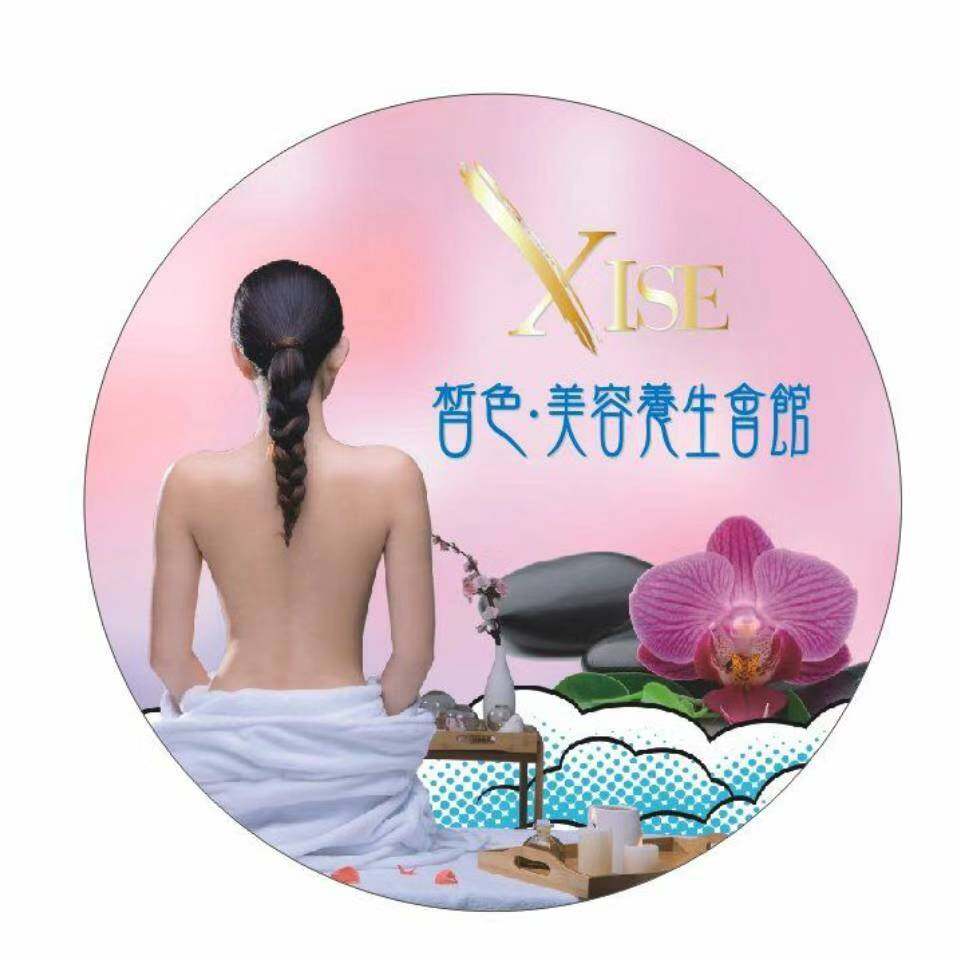 湖南皙色健康管理有限公司logo