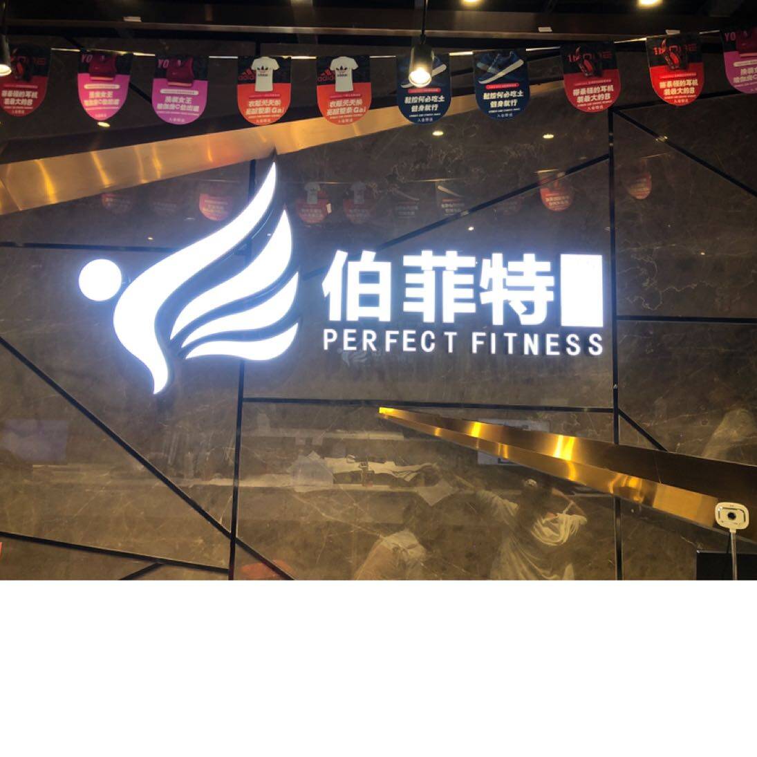 东莞伯菲特力健身管理有限公司logo