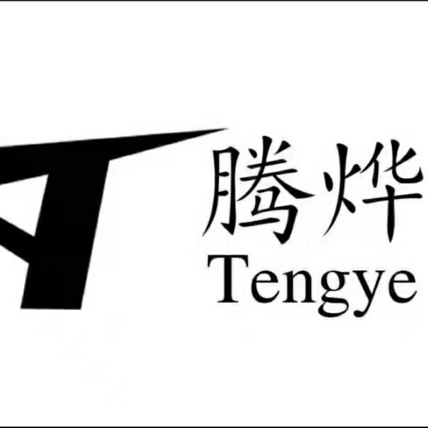 广东腾烨信息科技有限公司logo