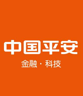 平安普惠信息服务有限公司青年大街分公司logo