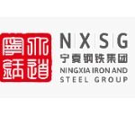宁夏钢铁（集团）有限责任公司logo