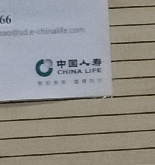 中国人寿保险股份有限公司东营市垦利支公司logo
