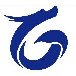 温州市龙芯电子有限公司logo