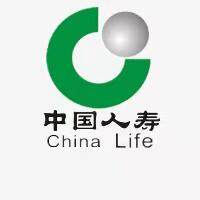 中国人寿财产保险logo