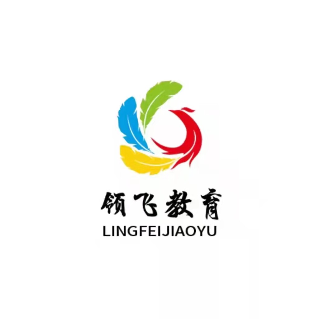 邯郸市领飞教育咨询服务有限责任公司logo