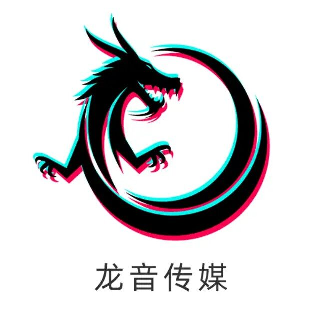 广州龙音传媒logo