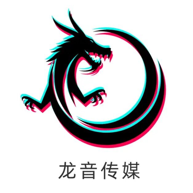 广州龙音传媒招聘logo