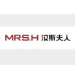 广东汉斯夫人智能科技有限公司logo