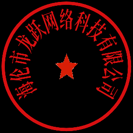 海伦市龙跃网络科技logo