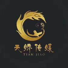 重庆天之娇文化传媒logo