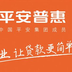 平安普惠信息服务有限公司乐山乐高东路分公司logo