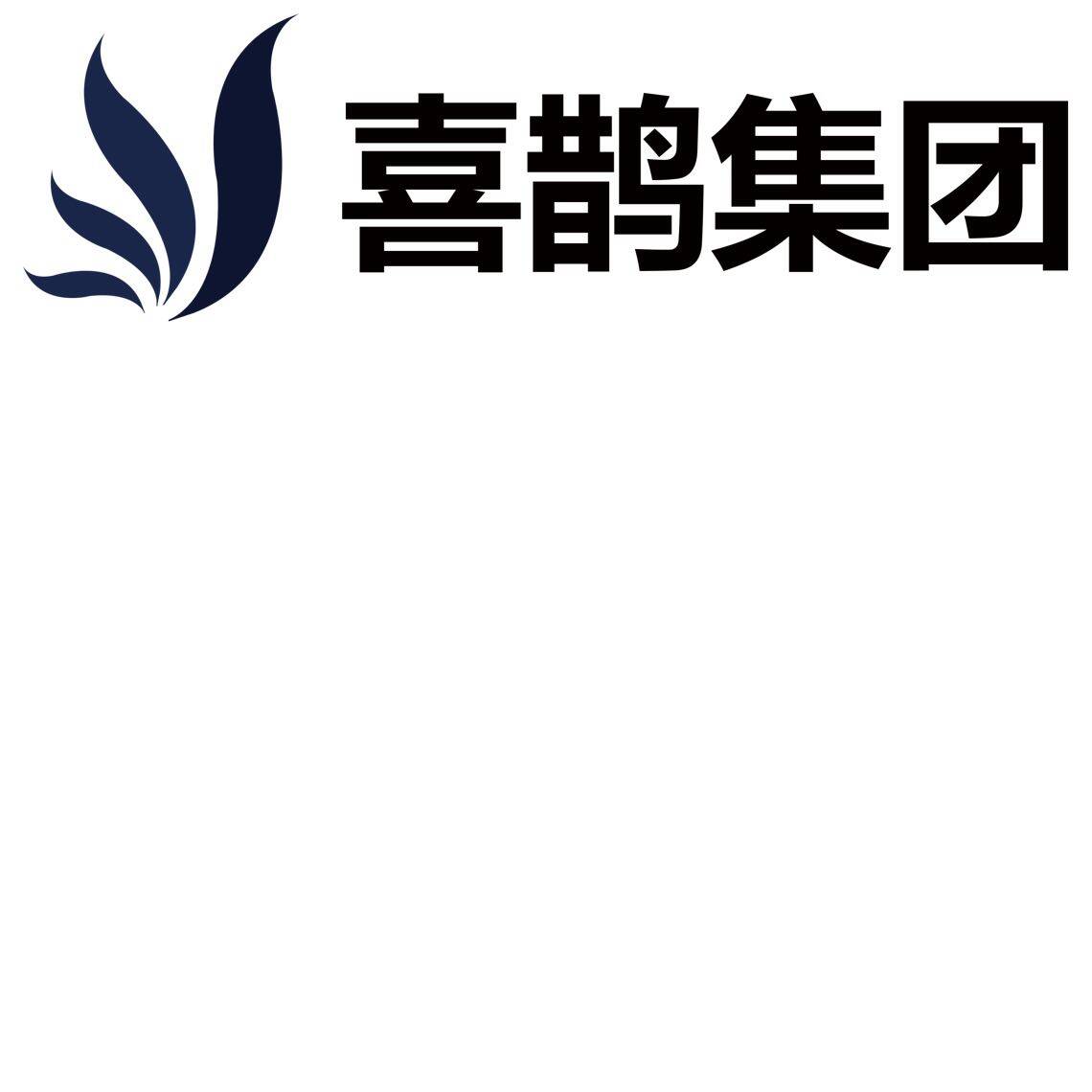 深圳市喜鹊信息科技有限公司logo