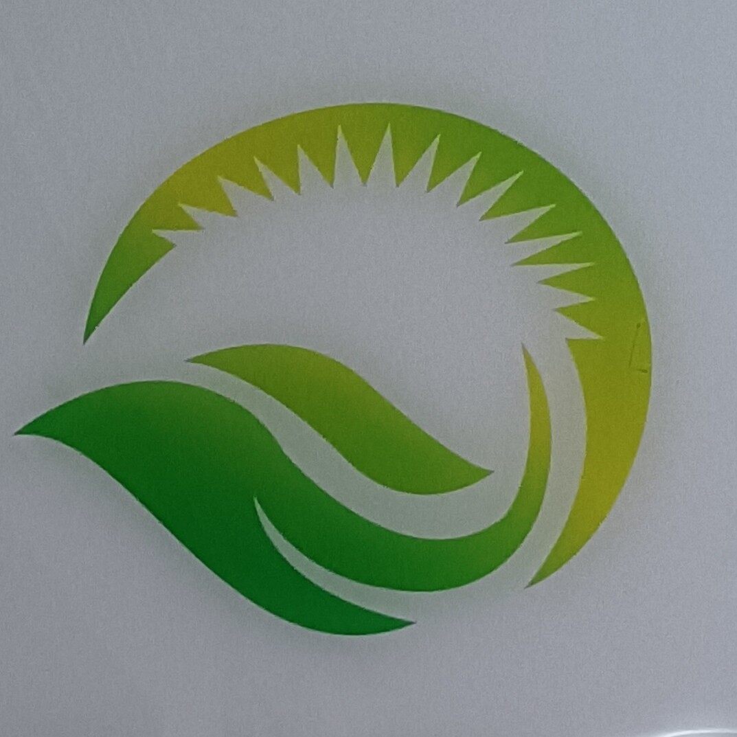 惠州市初阳科技有限公司logo
